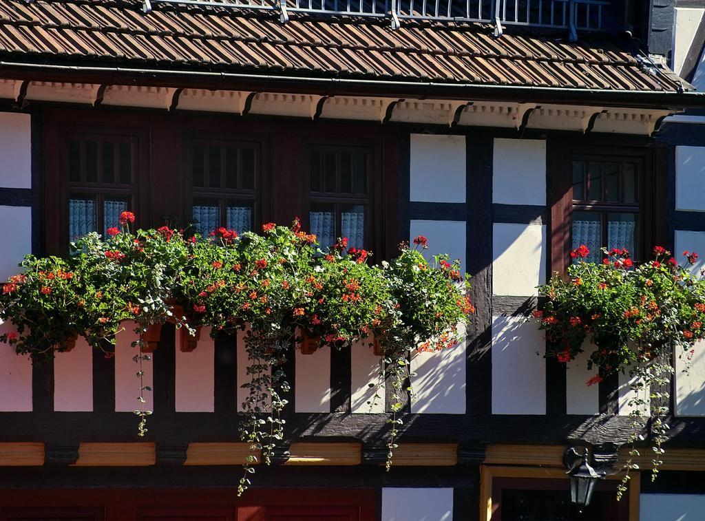 Pension Landhaus Machold Friedrichroda Exterior photo
